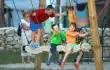 Zaton Holiday Resort 3*/33