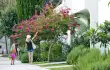 Zaton Holiday Resort 3*/187