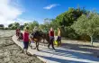 Zaton Holiday Resort 3*/128