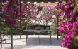 Akamanthea Holiday/7