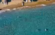 Stefania Beach/8