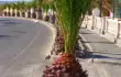 Castillo Beach Bungalows/3