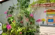Dona Sylvia Beach Resort/20