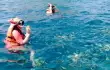 Pullman Phuket Arcadia/62