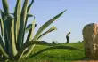 Aziza Thalasso Golf /28