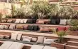 Cooks Club Alanya /17