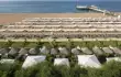 Delphin Imperial/5