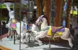 Delphin Imperial/44