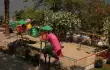 Marmaris Park/16