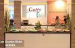 Catty Cats Garden/20
